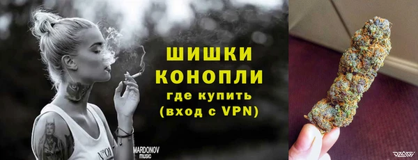 индика Володарск
