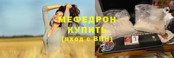 индика Володарск
