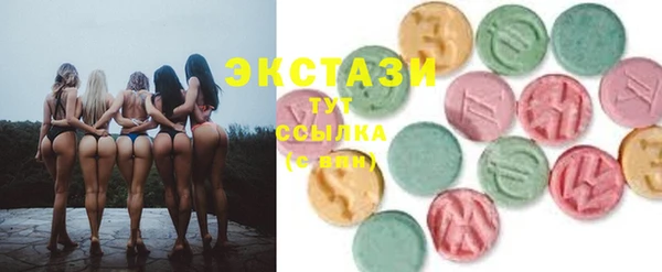 индика Володарск