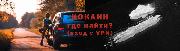 индика Володарск