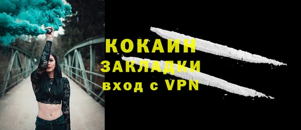 индика Володарск