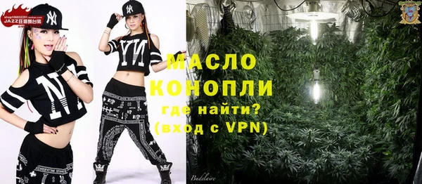 индика Володарск