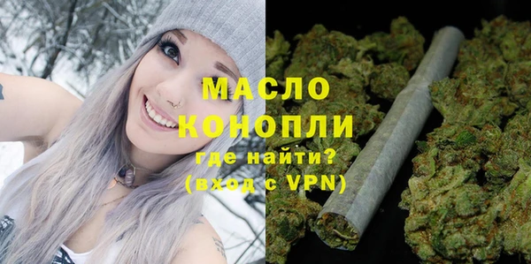 индика Володарск